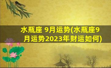 水瓶座 9月运势(水瓶座9月运势2023年财运如何)